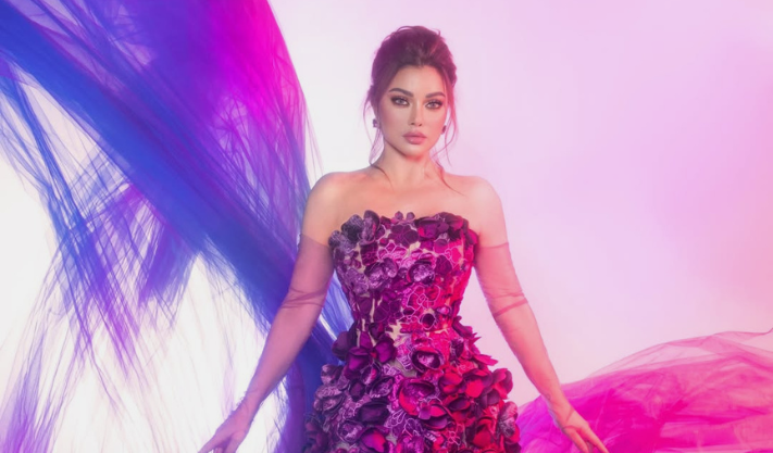 Haifa Wehbe: A Star of Beauty and Talent in the Middle East